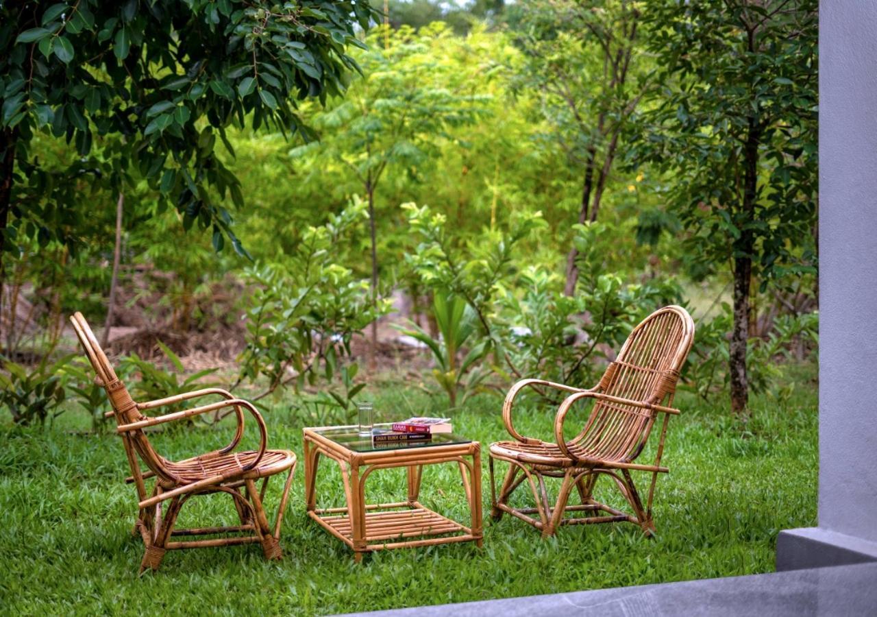 Whistling Woodzs Resort 丹德利 外观 照片