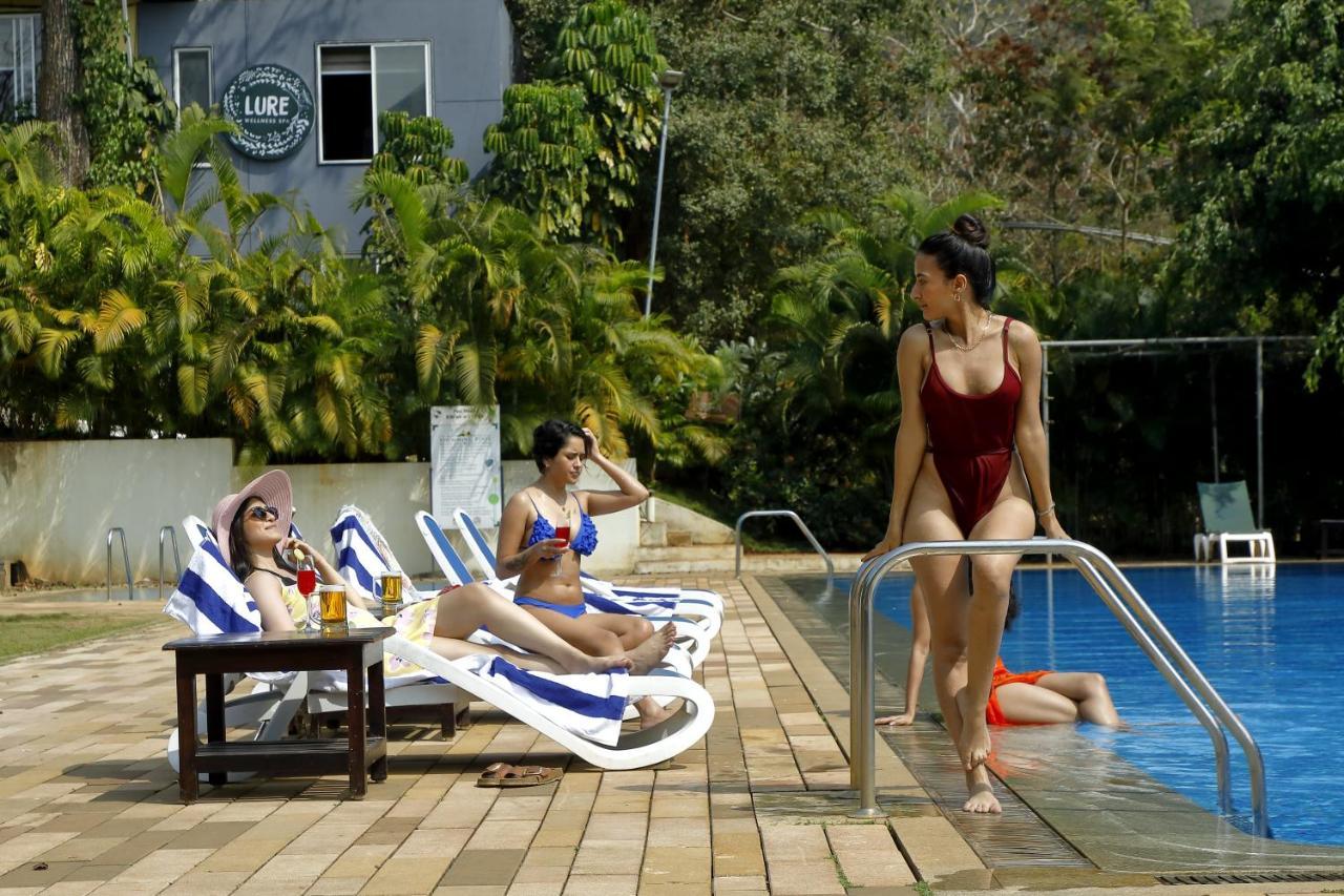 Whistling Woodzs Resort 丹德利 外观 照片