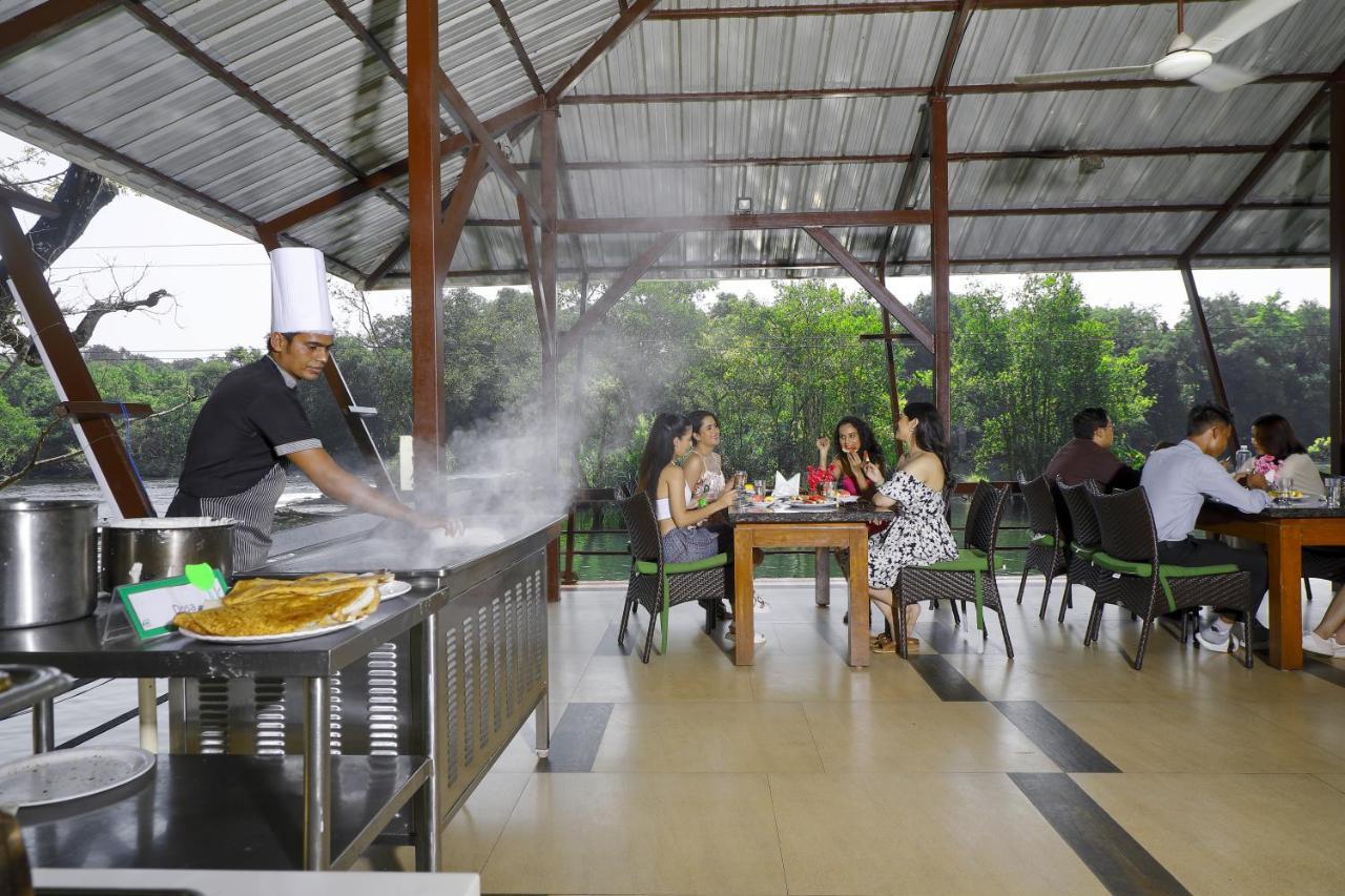 Whistling Woodzs Resort 丹德利 外观 照片