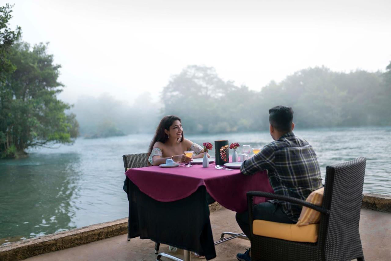 Whistling Woodzs Resort 丹德利 外观 照片